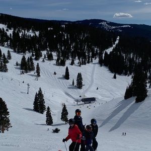 Meet your Posher, Trisha